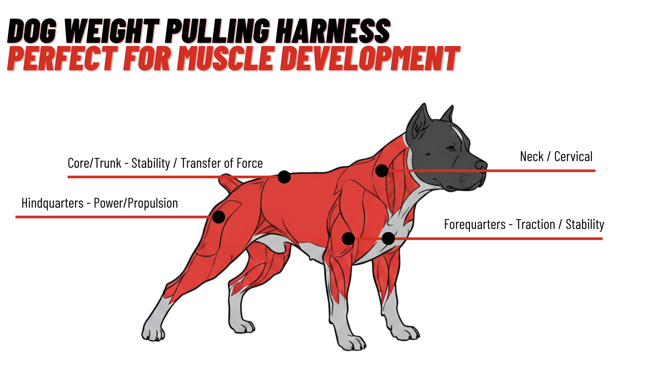 Dog Weight Pulling Harness