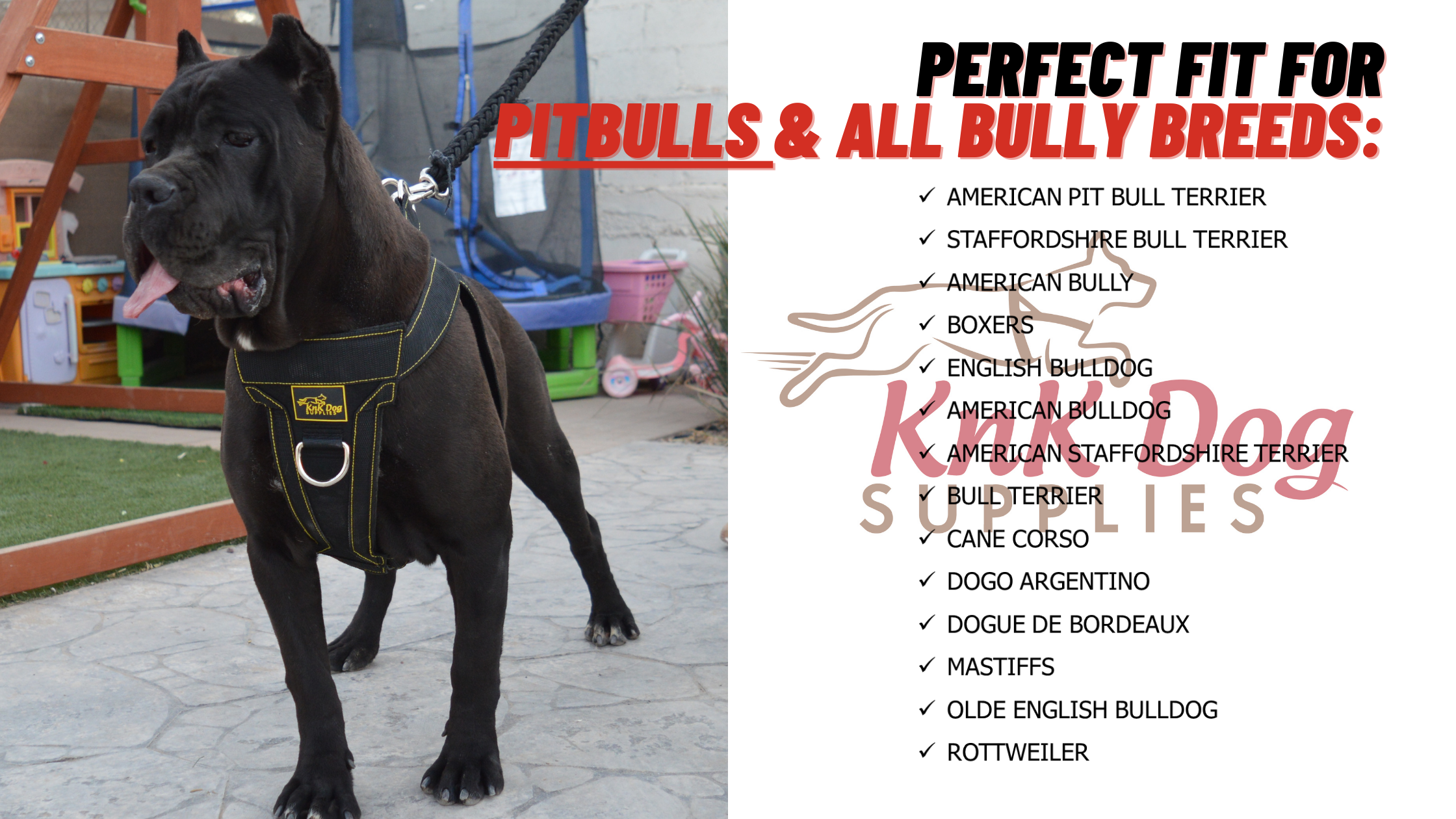 dog harness for dogs that pull
