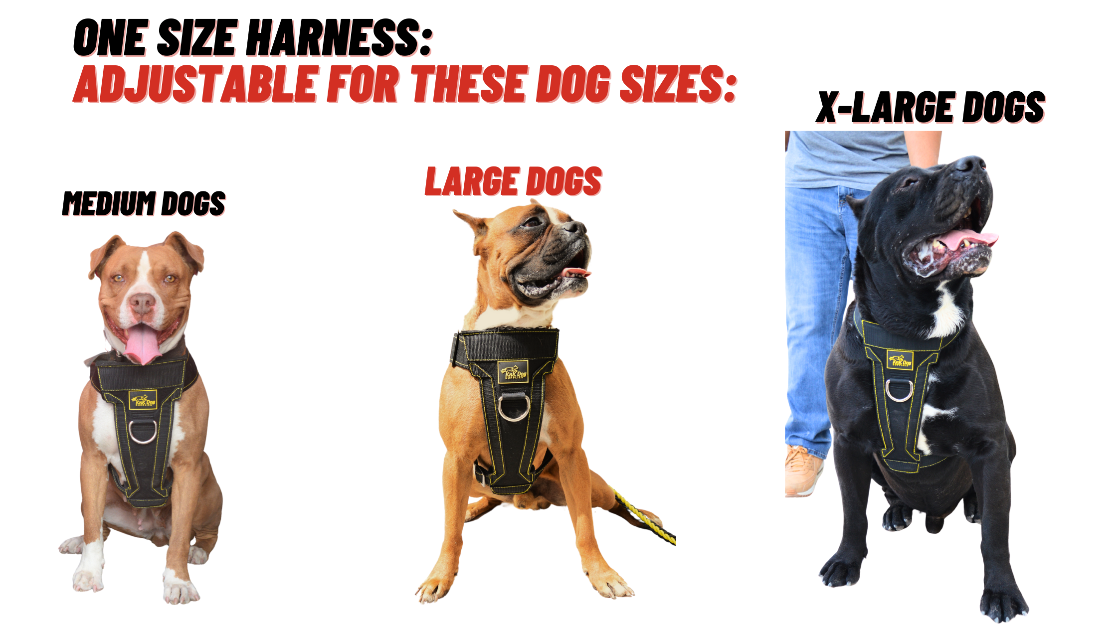 easy walk harness