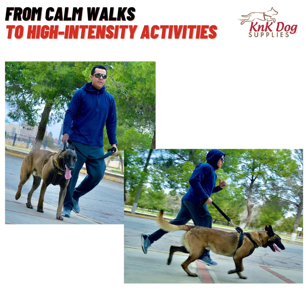 Belgian Malinois Dog Harness