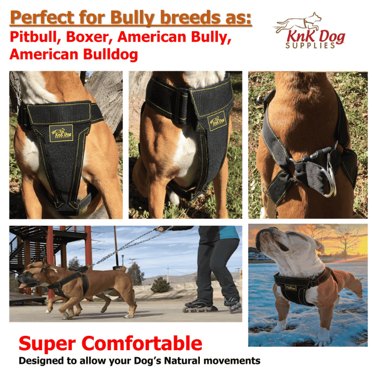 KnK Heavy Duty Dog Harness – Padded for comfort, ideal for strong dogs with high-intensity activities, offering full range of motion and minimal strain Bully Breeds Dog Harness