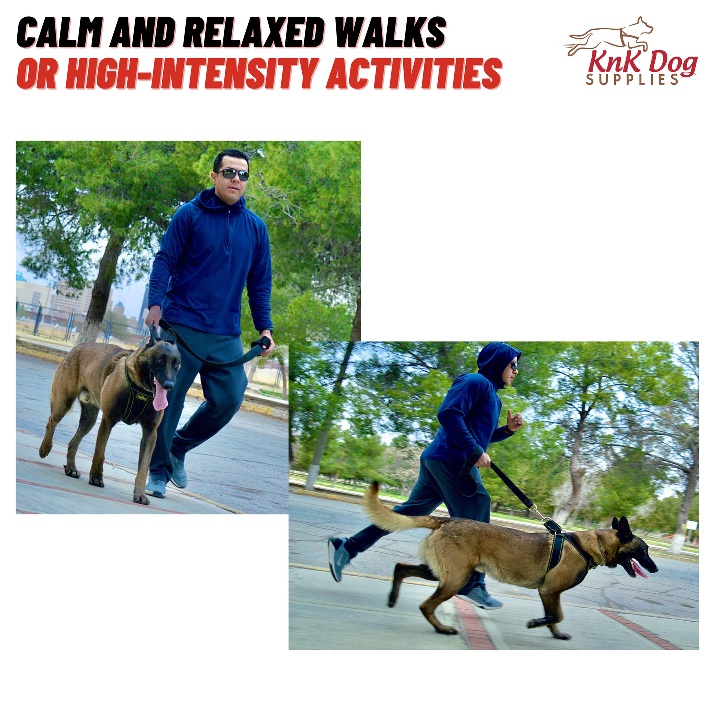 Sport Heavy Duty Dog Harness