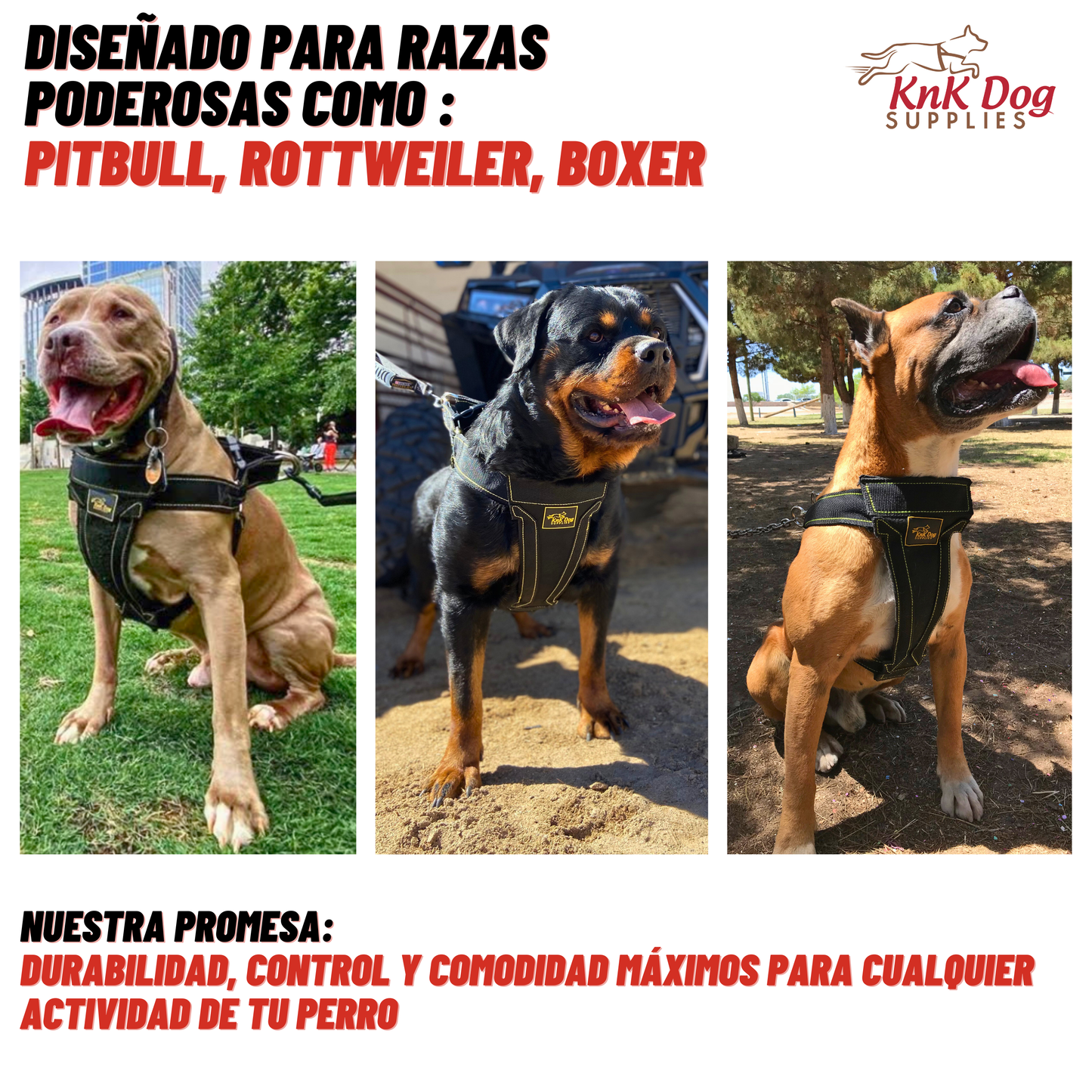 Pechera para Perro