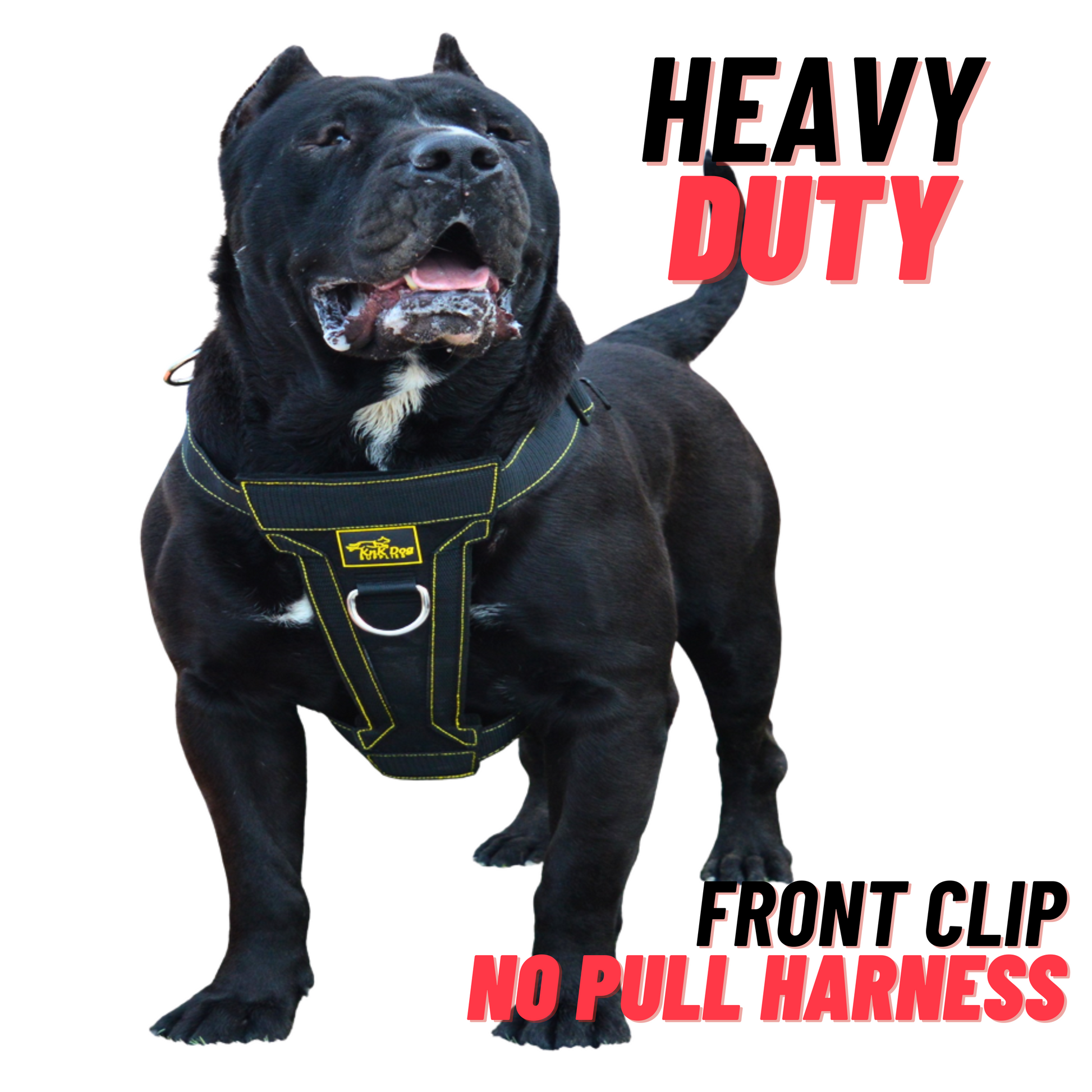 no pull dog harness for pitbull