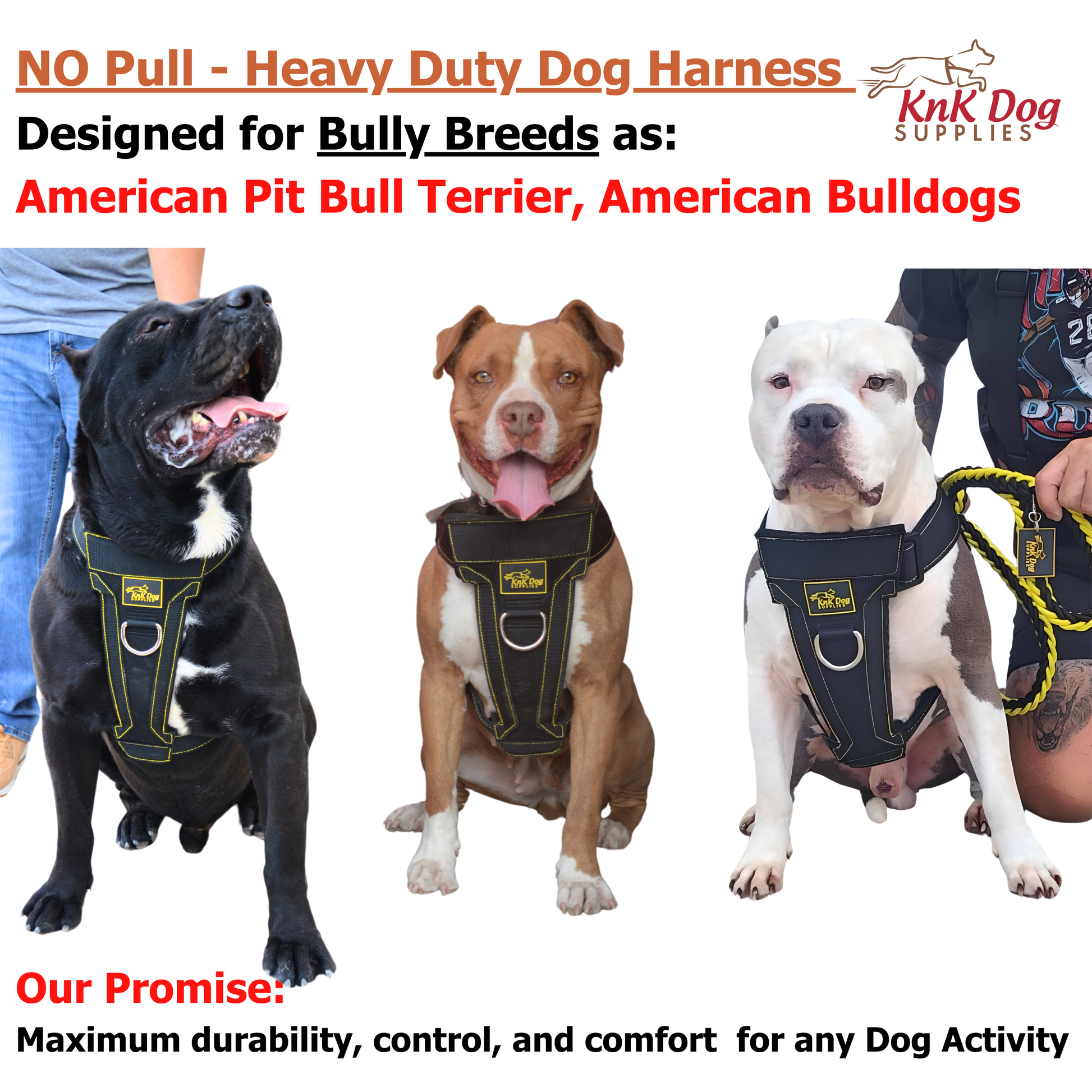 best no pull harness for pitbulls