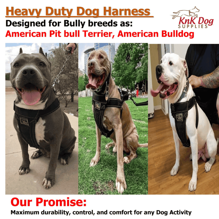 KnK Heavy Duty Dog Harness – Customizable fit with durable D-rings and premium padding for the ultimate comfort and control on your dog
