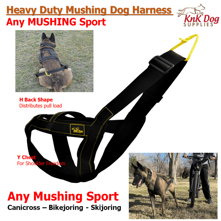 Mushing Harness for Sledding, Bikejoring, and Canicross