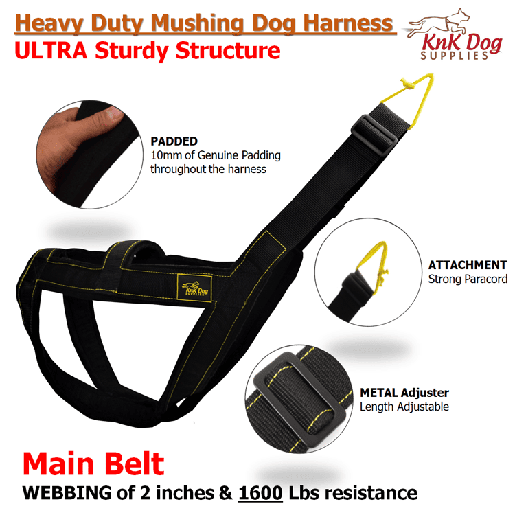 Mushing Harness for Sledding, Bikejoring, and Canicross