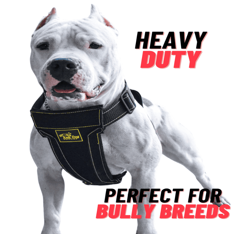 Heavy Duty Dog Harness perfect for Bully breeds