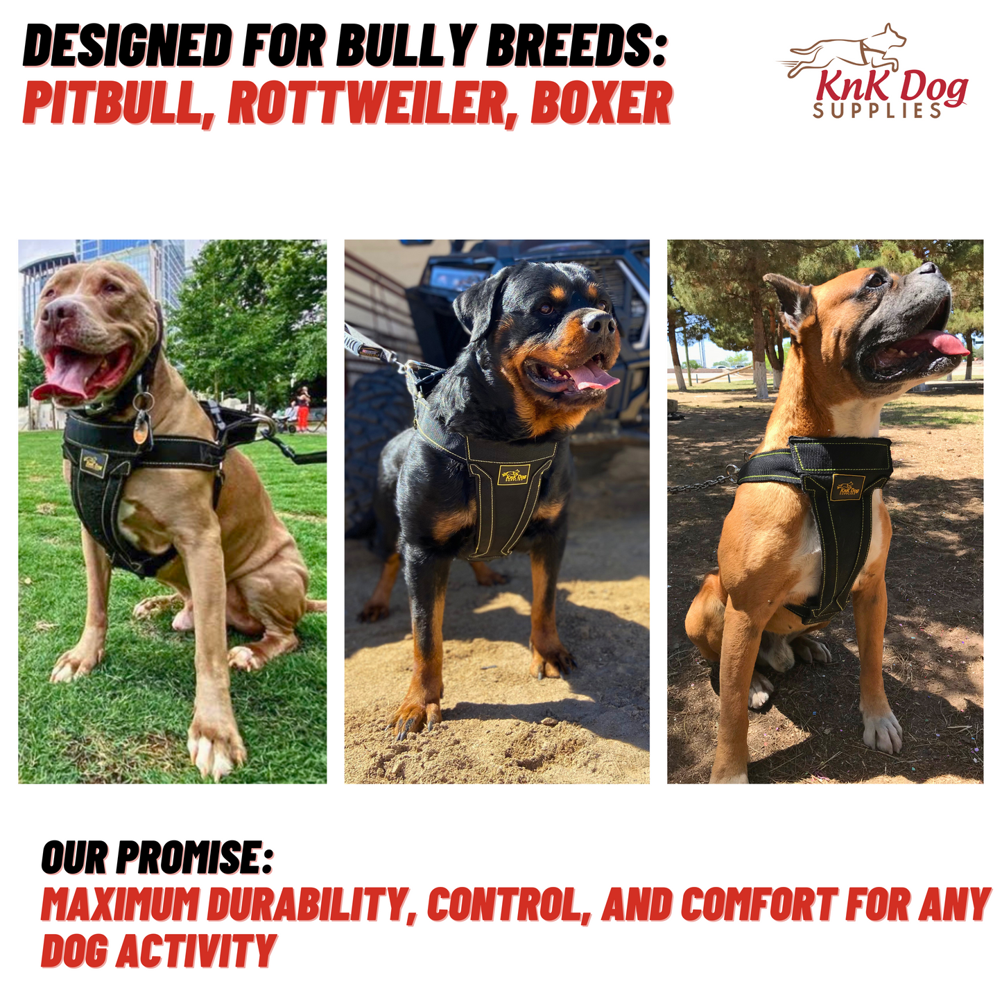 Pitbull Harness Heavy Duty