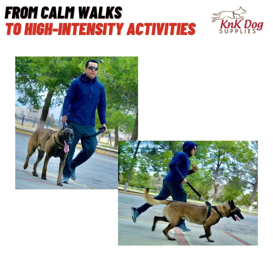 Durable Heavy Duty Dog Harness with Metal Hardware