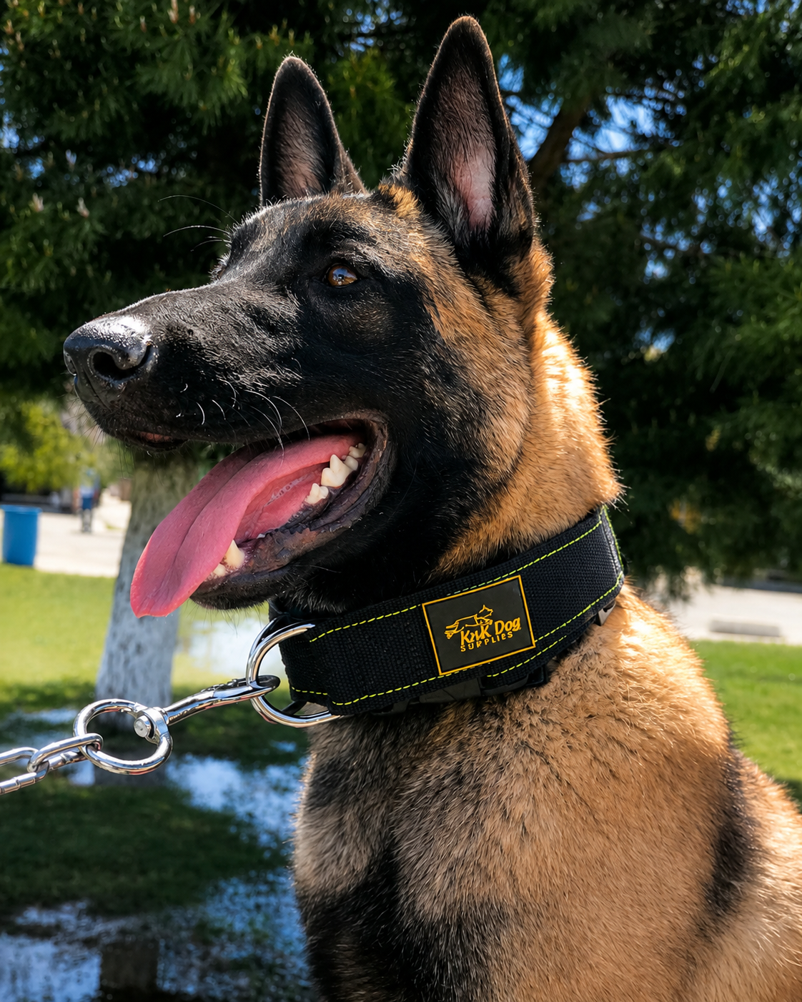 heavy duty tactical dog collar