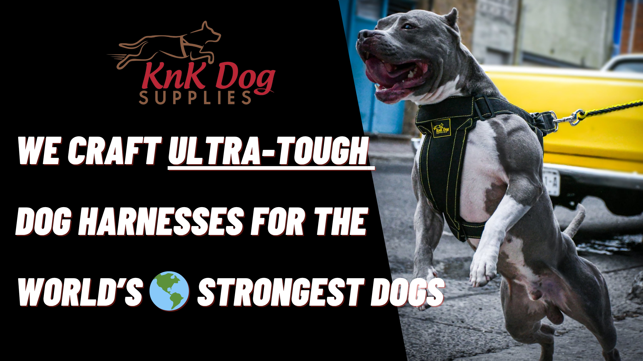 Dog wearing a Pitbull dog harness with KnK Dog Supplies branding and text about ultra-tough dog harnesses.