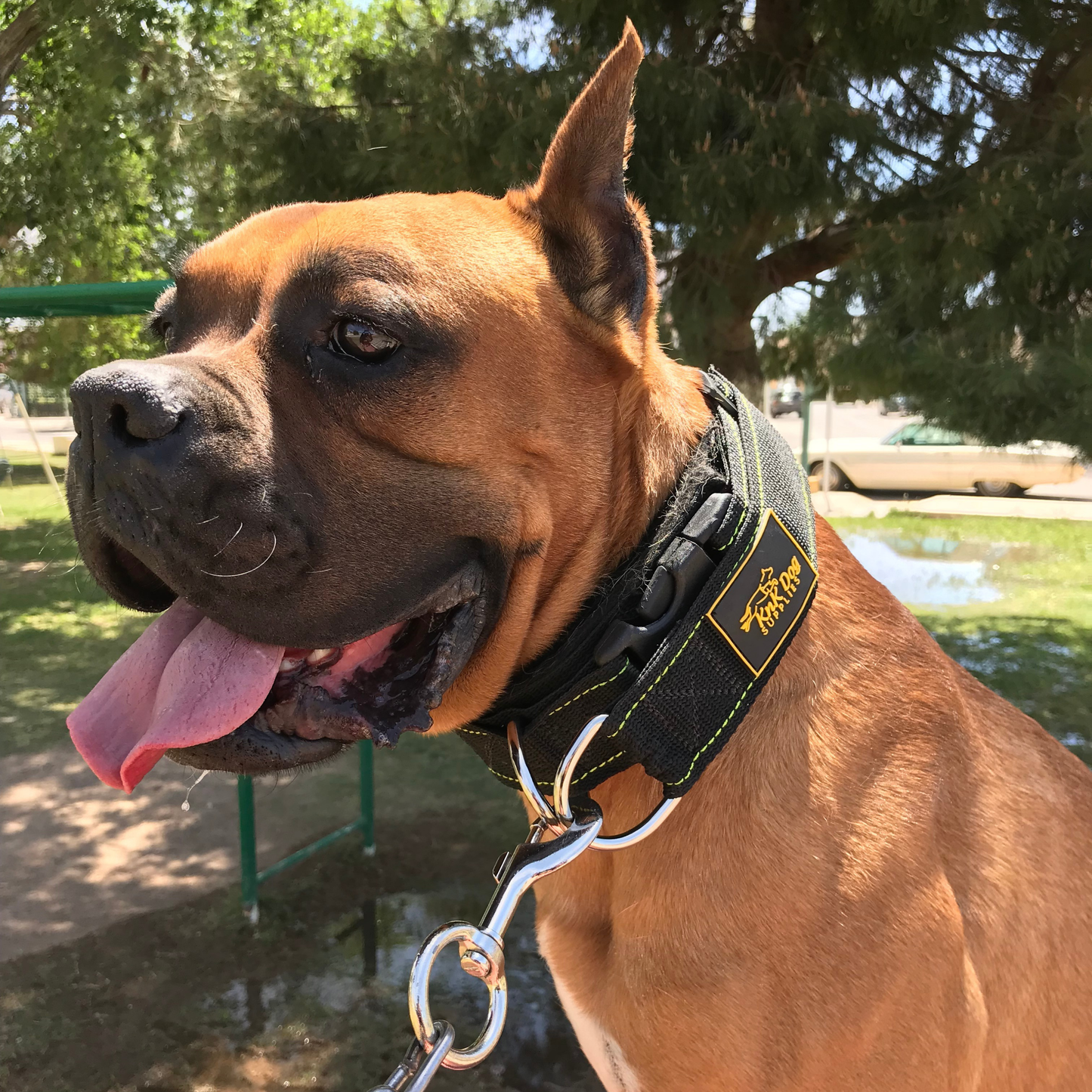 Heavy Duty Tactical Dog Collar