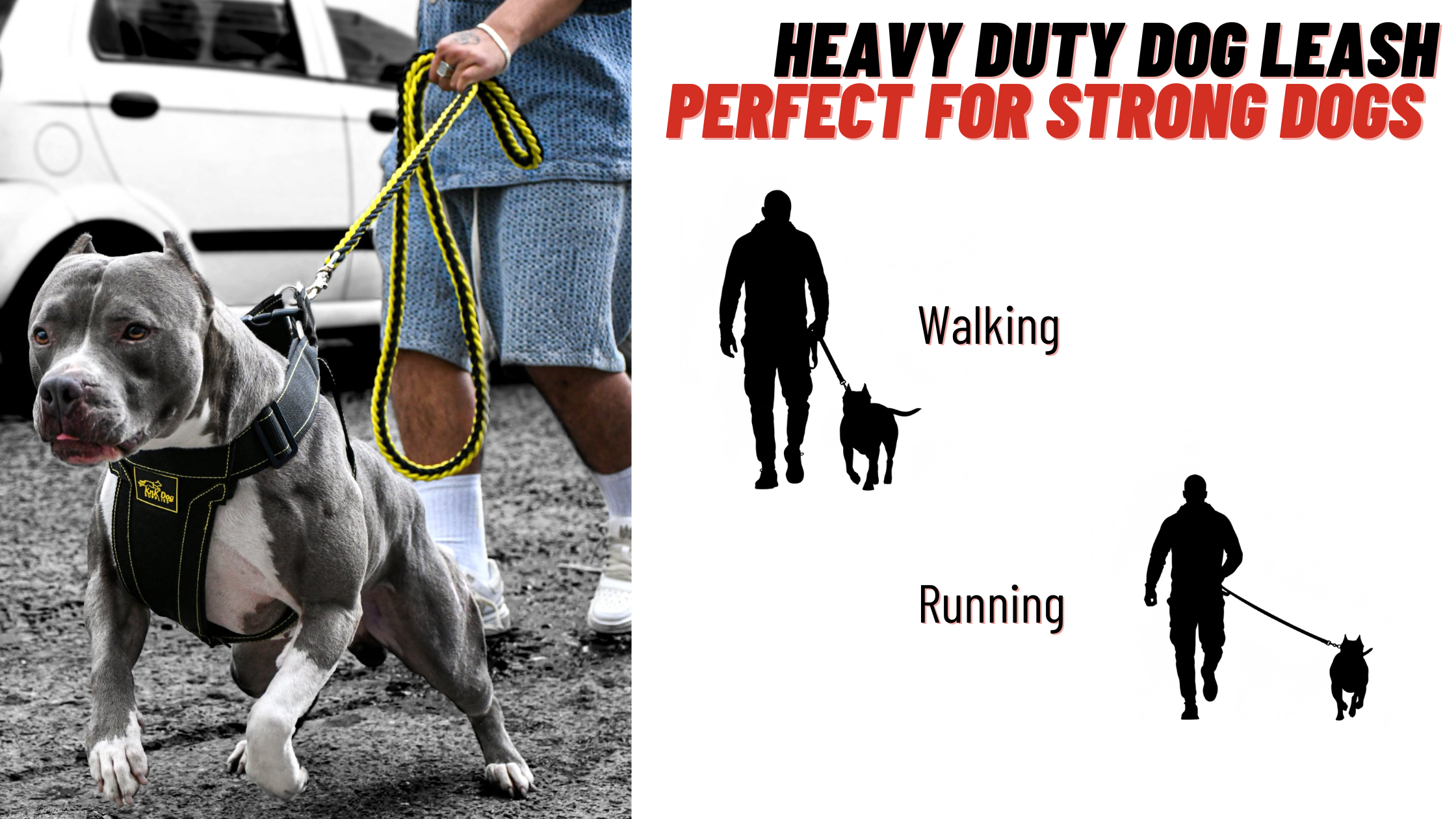 heavy duty dog leash