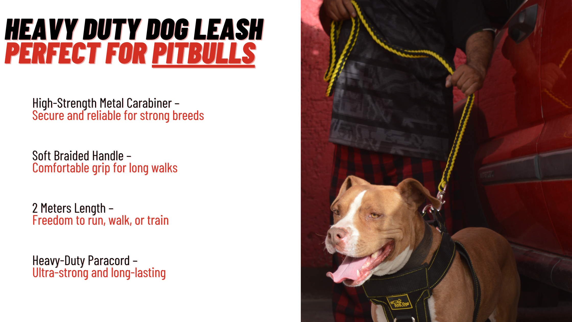 dog lead heavy duty