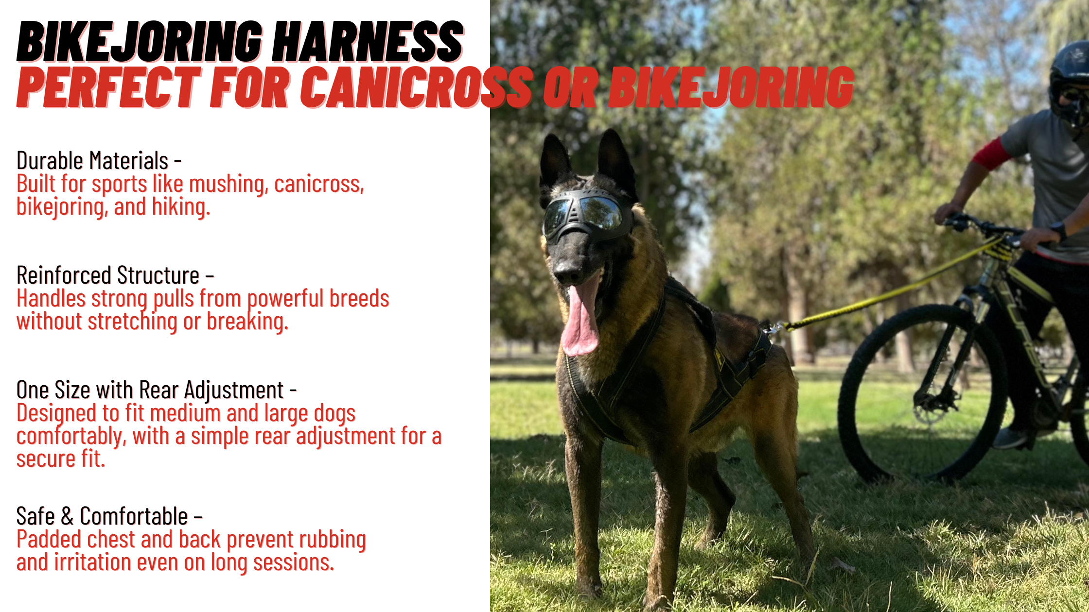 bikejoring harness