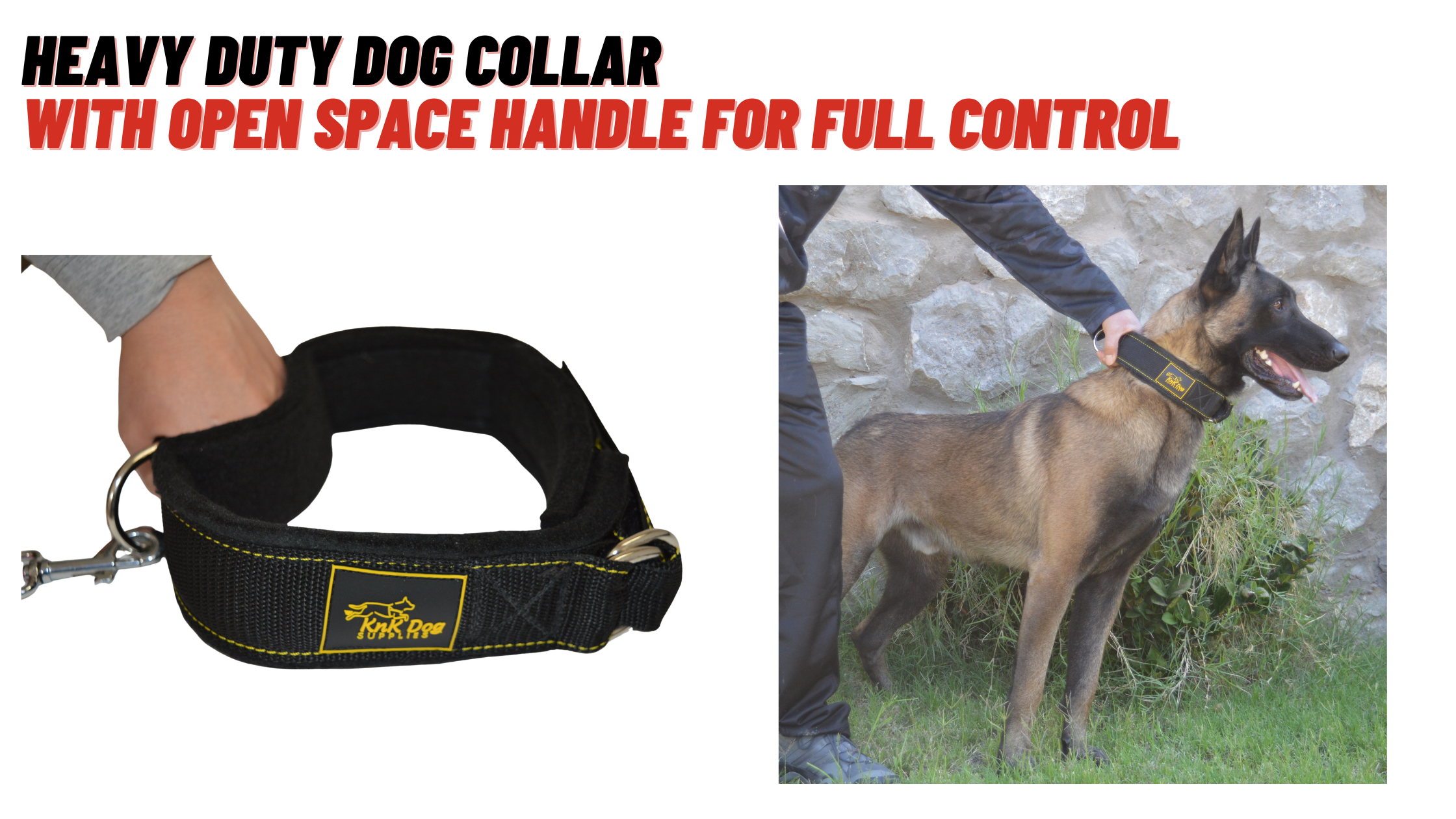 Heavy Duty Dog Collar with Open Space Handle