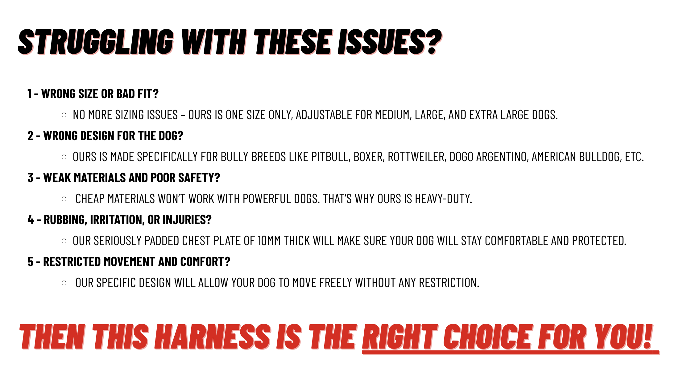 Common issues of Pitbull owners 