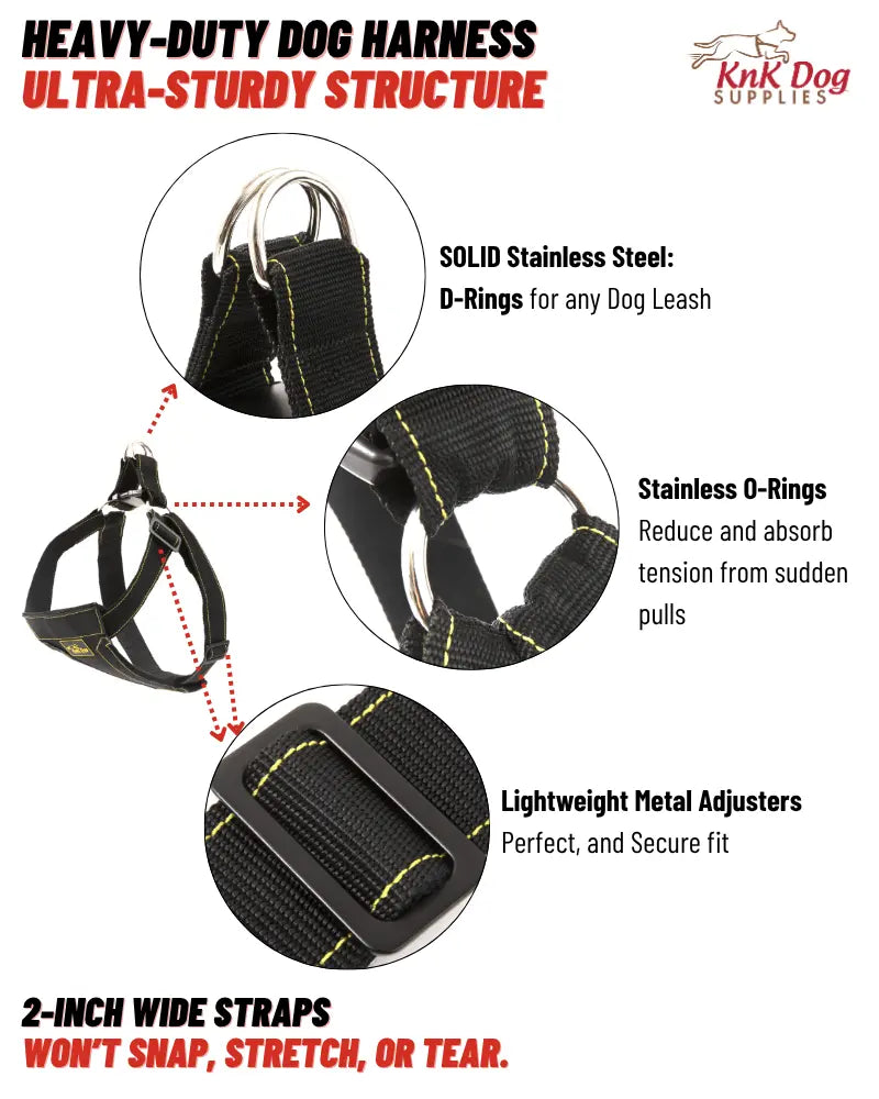 Best Boxer Harness