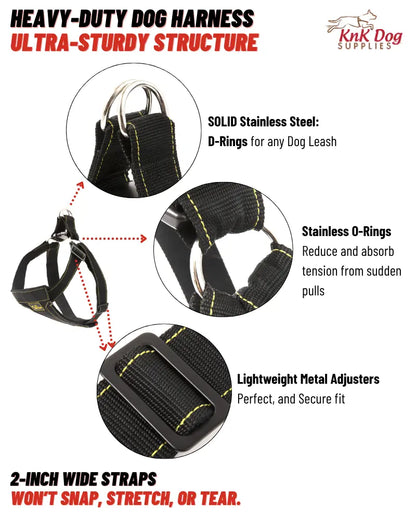 Best Boxer Harness