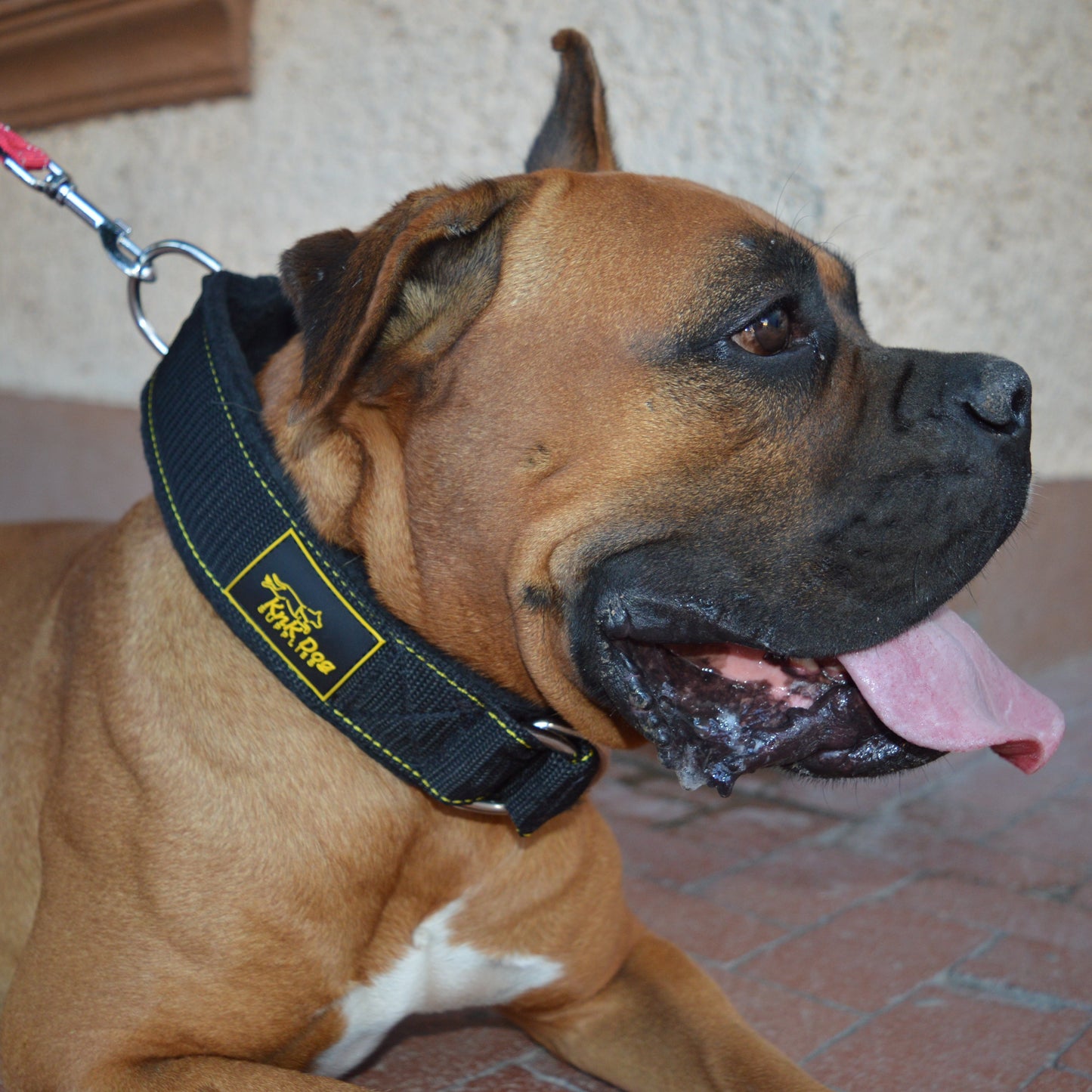 KnK Heavy Duty Dog Collar – Durable, padded, and comfortable for medium, large, and extra-large dogs