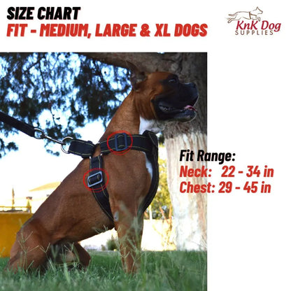 Dog Harness for Pitbull and Bully breeds - Metal Clips