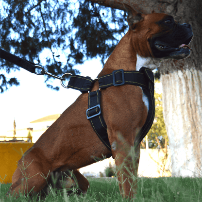 Heavy Duty Dog Harness