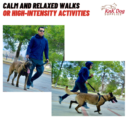 Sport Heavy Duty Dog Harness