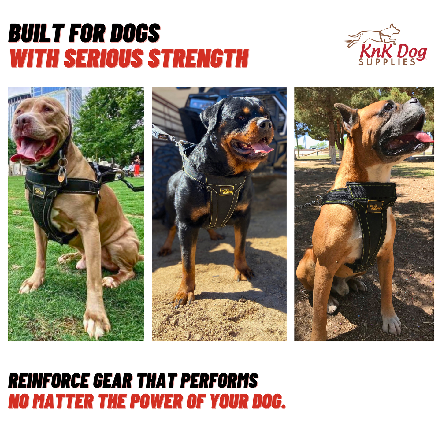 Heavy Duty Dog Harness for Strong dogs