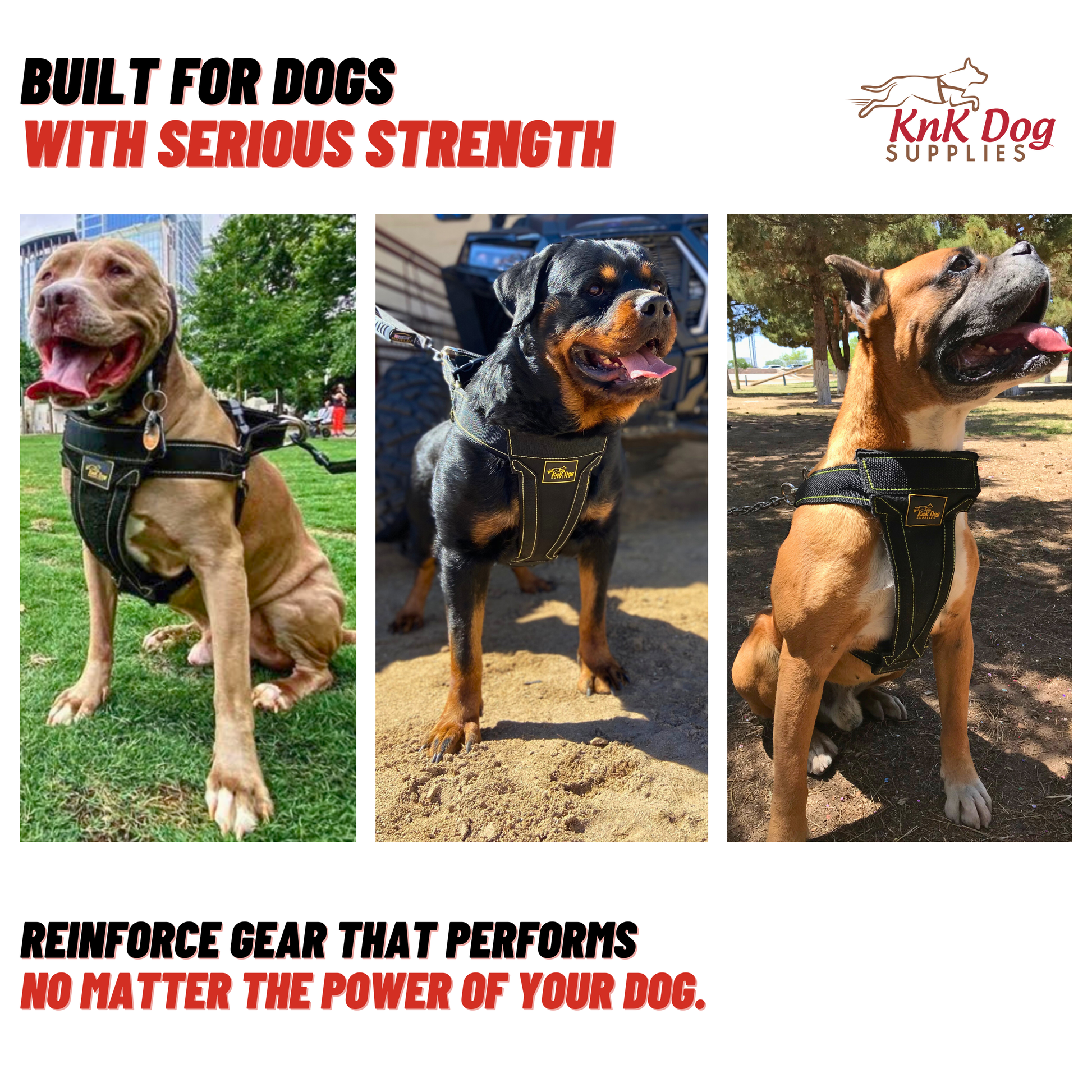 Heavy Duty Dog Harness for Strong dogs