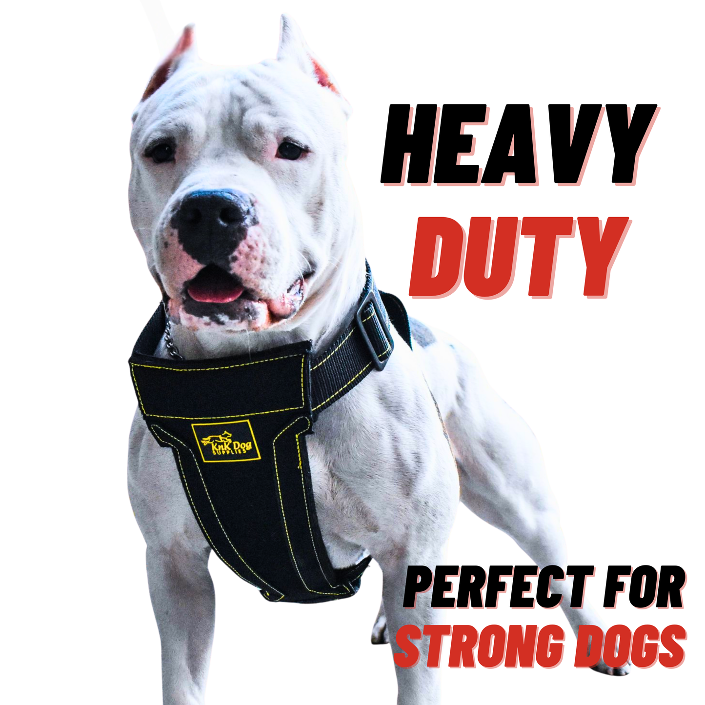 Heavy Duty Dog Harness