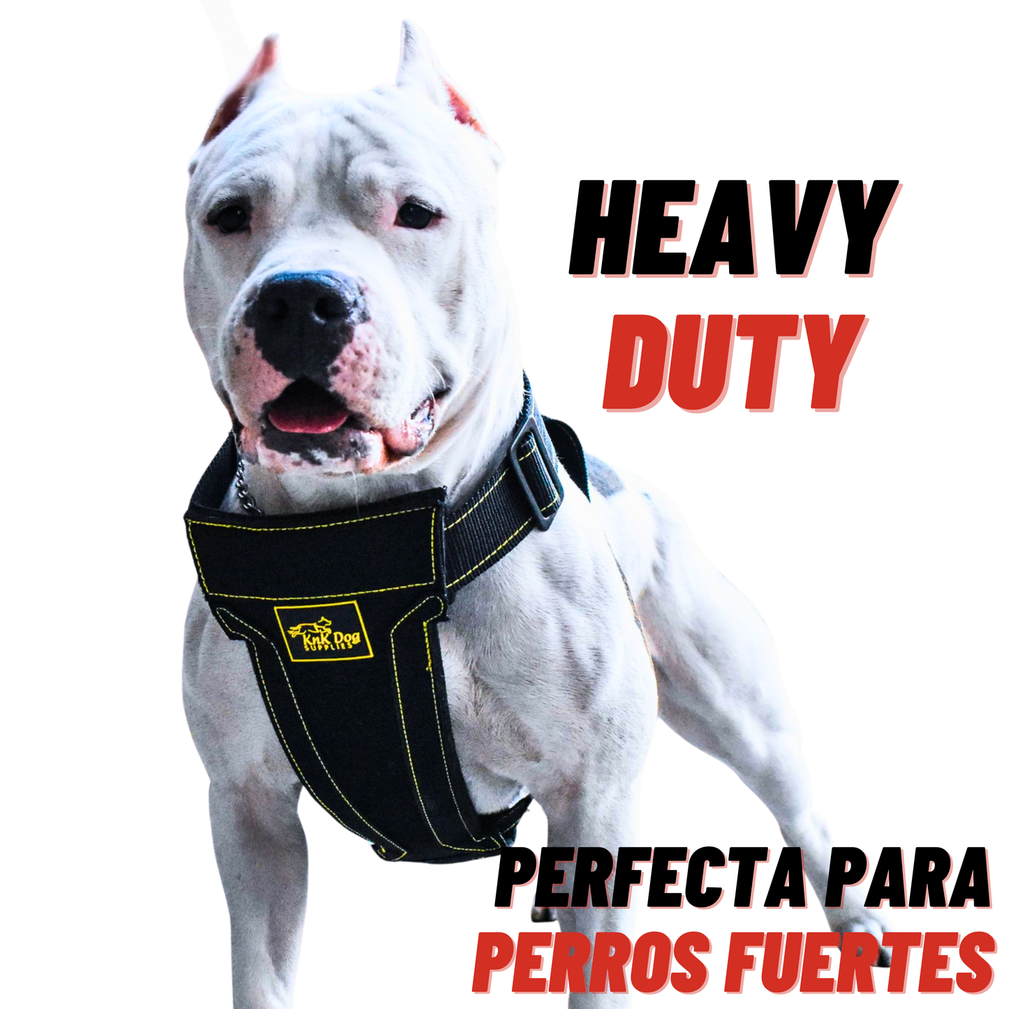 Pechera para Perro
