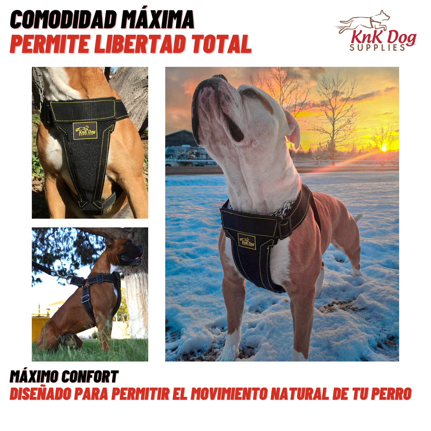 Pechera para Perro