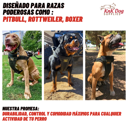 Pechera para Perro