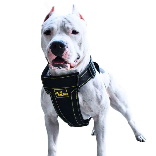 Dog Harness for Pitbull and Bully breeds - Metal Hardware