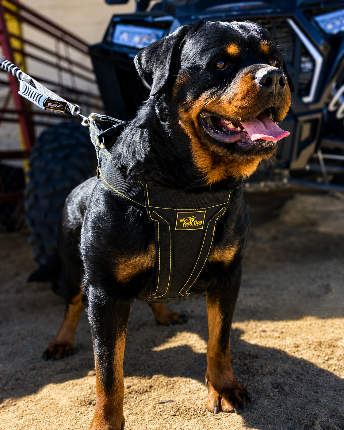 Heavy Duty Dog Harness with metal clips for strong dogs