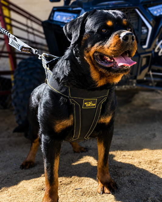 Heavy Duty Dog Harness with metal clips for strong dogs