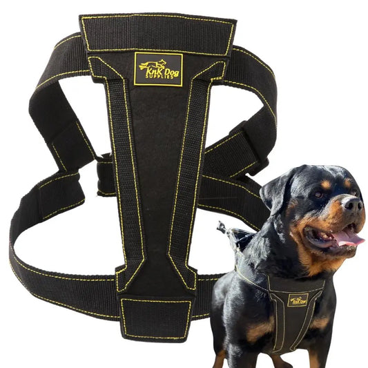Heavy Duty Dog Harness with metal clips for strong dogs