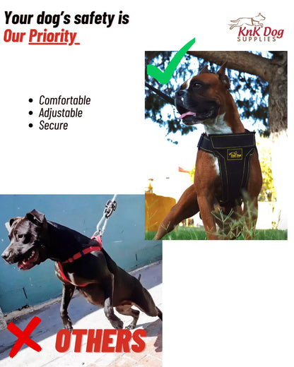 Heavy Duty Dog Harness