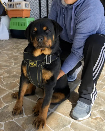 Heavy Duty Dog Harness Adjustable
