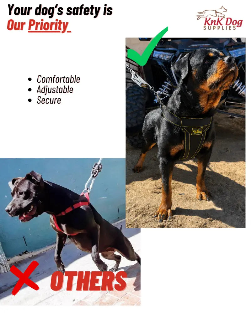 Heavy Duty Dog Harness Comparison