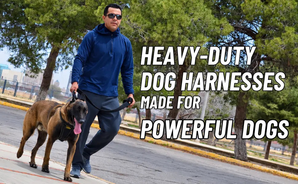 Heavy Duty Dog Harness