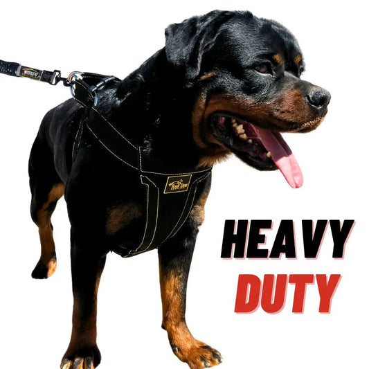 Heavy Duty Dog Harness with Metal Hardware — Built for Power Breeds