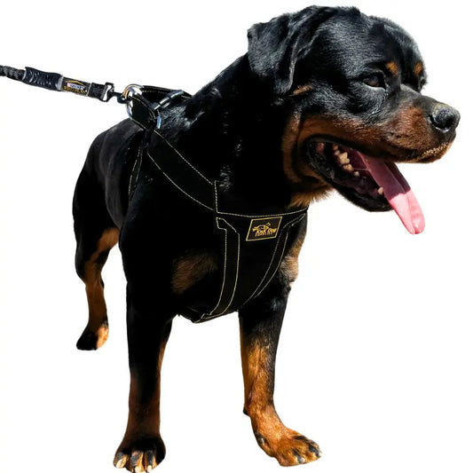 Heavy_Duty_Dog_Harness_with_Metal_Hardware