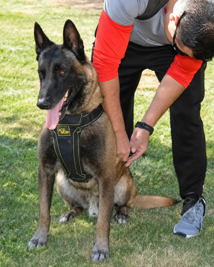 Malinois Dog Harness Heavy Duty