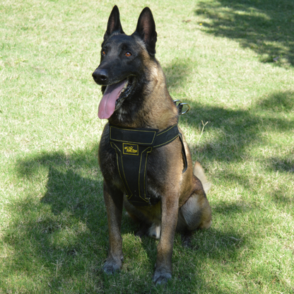 OUTLET - Pechera para Perro