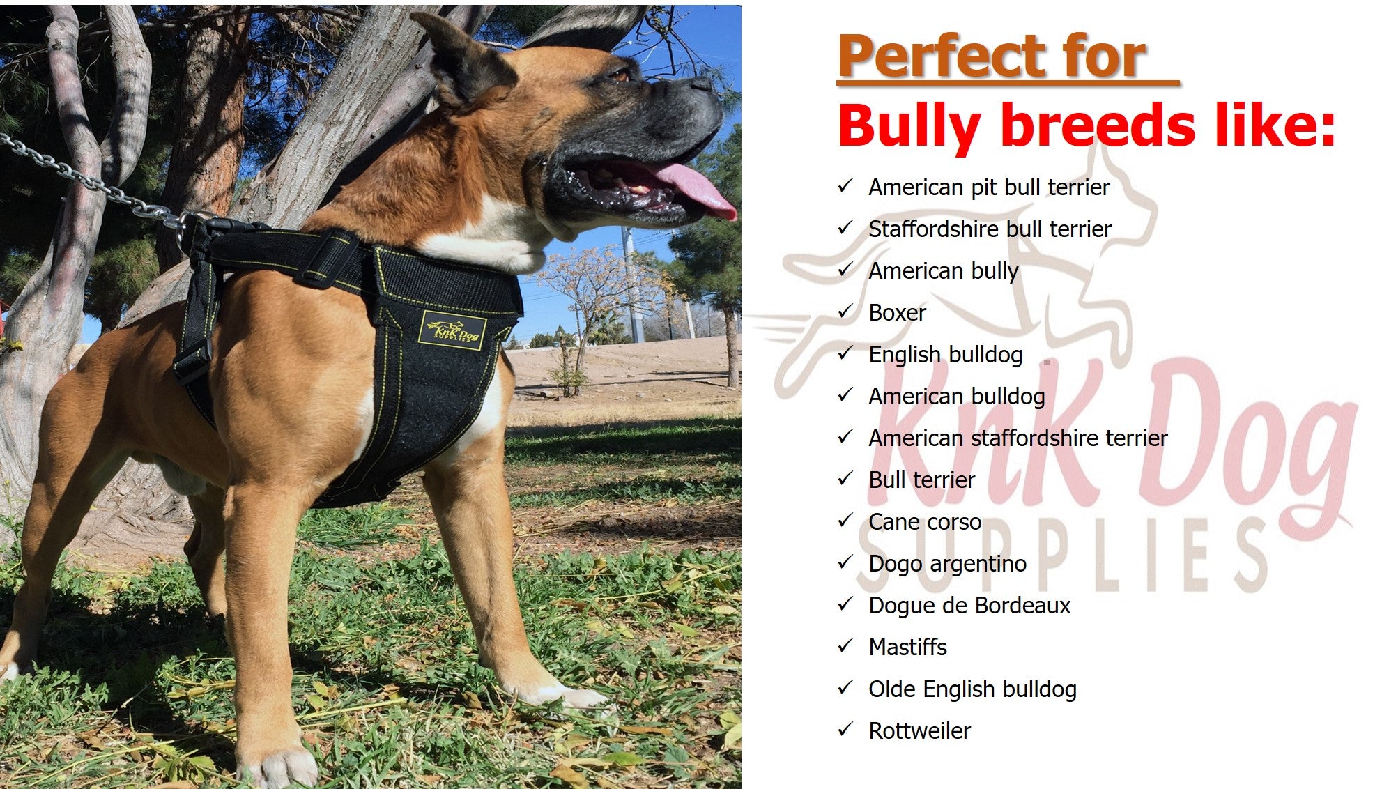 Bully Breeds Dog Harness