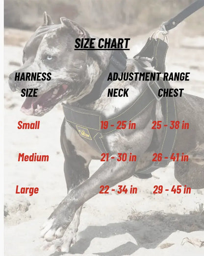 Pitbull harness heavy duty size chart