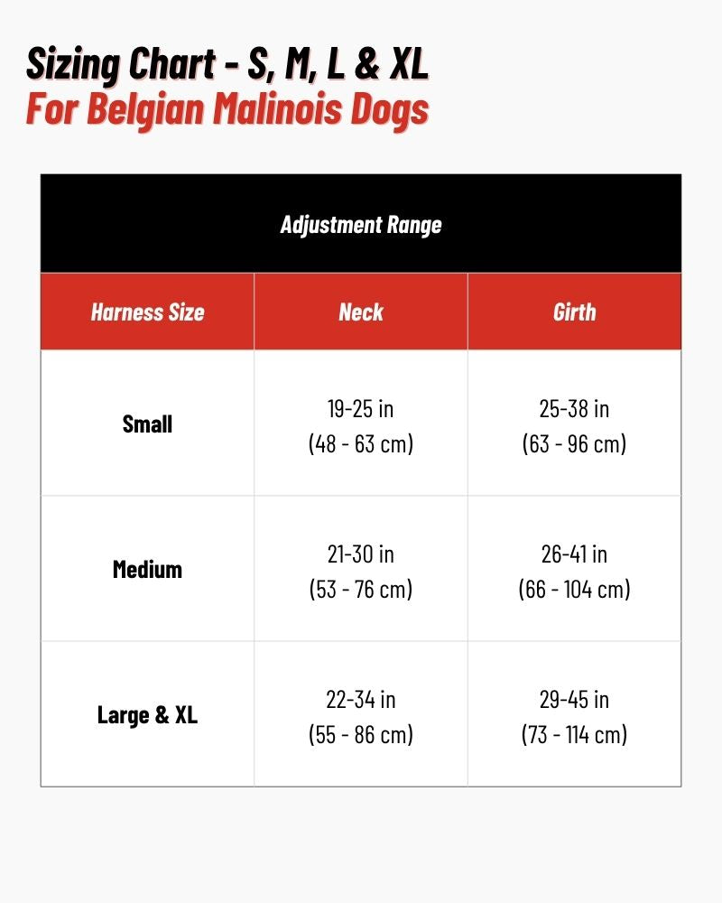 Sizing Chart for Belgian Malinois Dogs